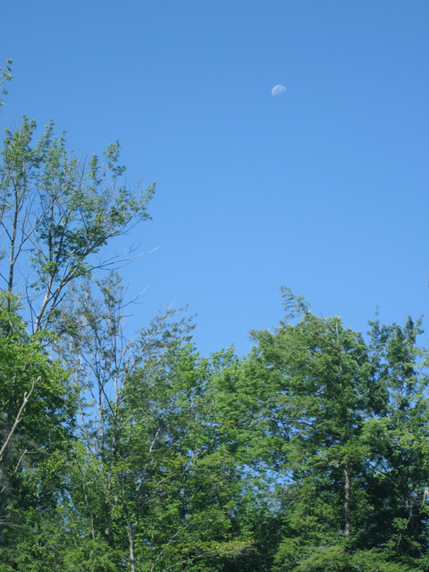 The Moon in July 2010